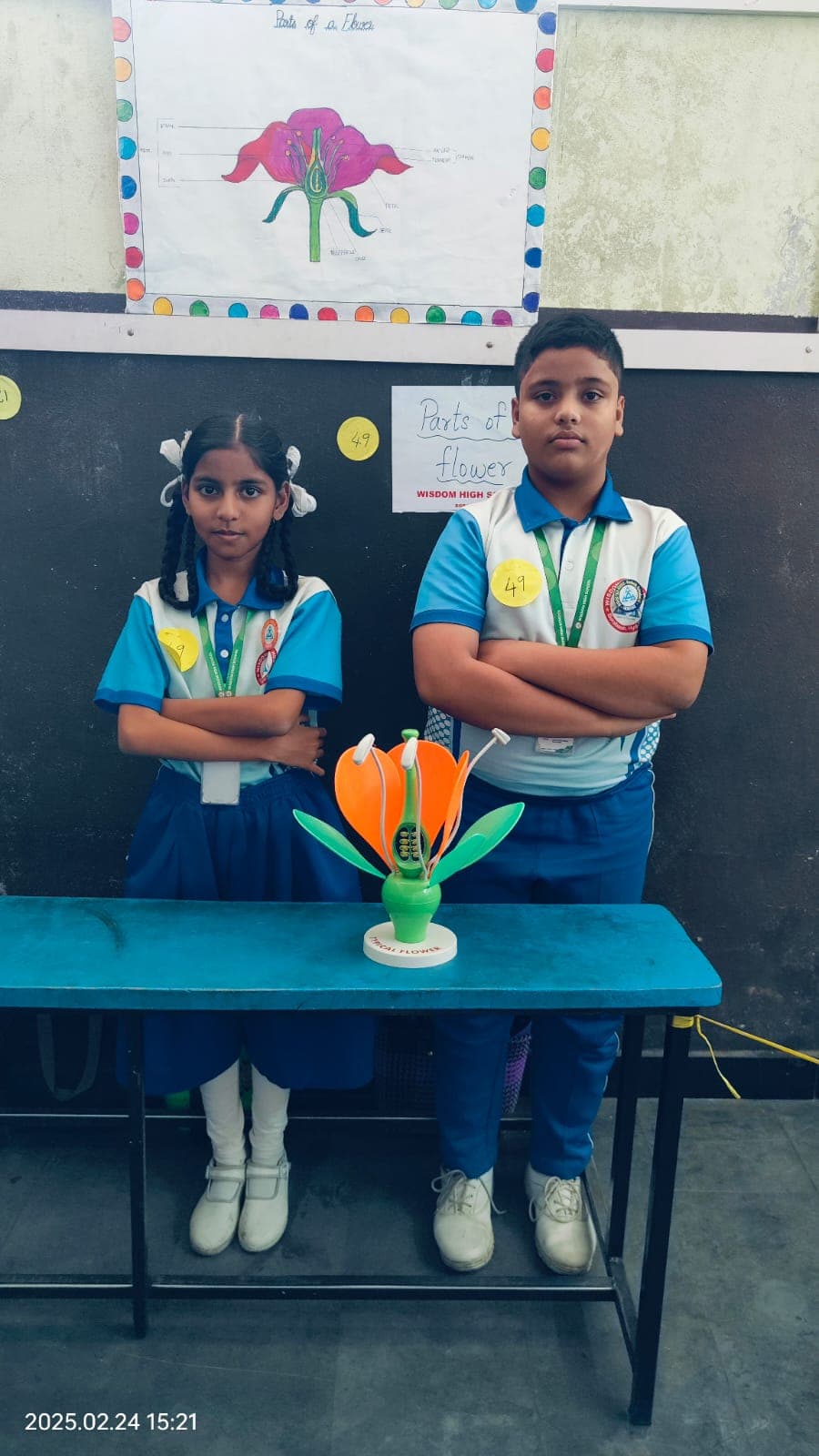 Flower Parts Model — Wisdom Concept School, Erragadda